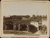 Thumbnail of Ste-Croix-du-Mont_176.jpg